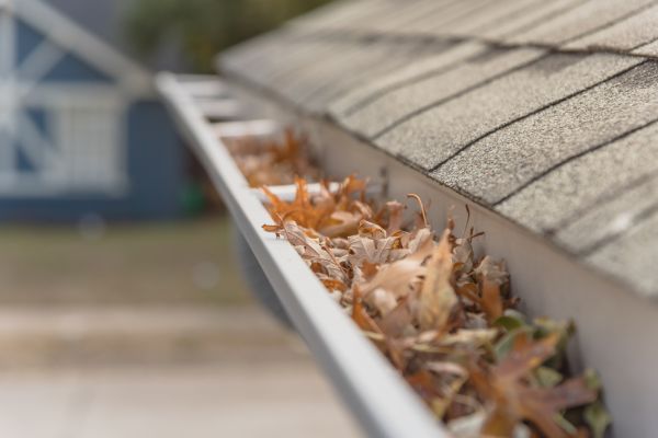 Leaf Barrier Installation in Roseville